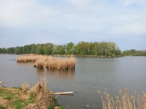 Prodej pozemku pro bydlení, Dolní Věstonice, 834 m2