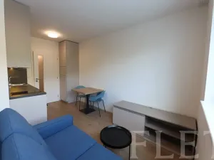 Pronájem bytu 1+kk, Praha - Holešovice, V háji, 30 m2