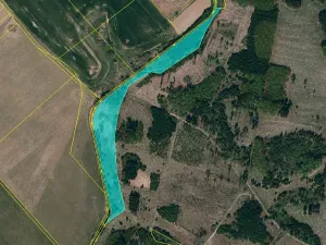 Prodej lesa, Stařeč, Horní, 15237 m2