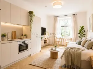 Prodej bytu 1+kk, Praha - Nové Město, Sokolská, 27 m2