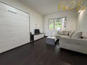 Pronájem bytu 1+kk, Ostrov - Horní Žďár, 28 m2