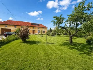 Prodej rodinného domu, Lipovec, 4500 m2