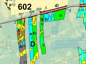 Dražba lesa, Nová Bystřice, 8581 m2