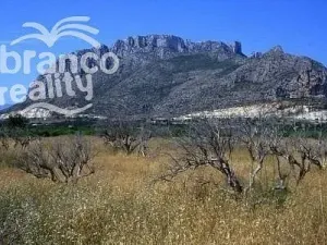 Prodej rodinného domu, El Verger, Alicante, Španělsko, 90 m2