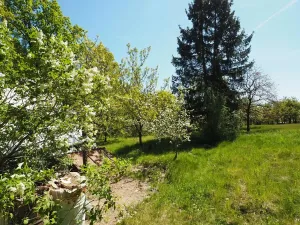 Prodej chaty, Pozořice, Oulehla, 34 m2