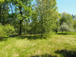 Prodej chaty, Pozořice, Oulehla, 34 m2