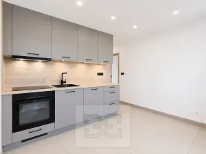 Pronájem bytu 2+1, Brno, Lipská, 55 m2