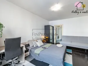 Prodej bytu 2+kk, Praha - Žižkov, Jana Želivského, 49 m2