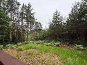 Prodej chaty, Libošovice, 40 m2