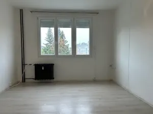 Prodej bytu 1+1, Plzeň, Dlouhá, 36 m2