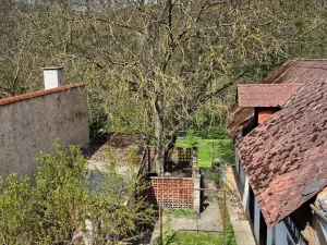 Prodej rodinného domu, Radnice, Dědická, 240 m2