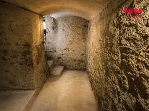 Prodej rodinného domu, Zruč nad Sázavou, 1. máje, 250 m2