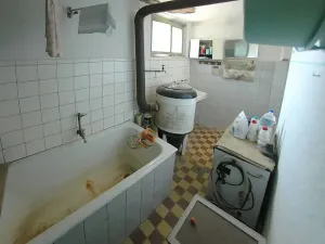 Prodej rodinného domu, Mladý Smolivec, 200 m2