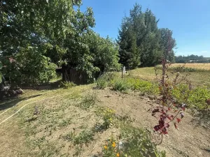 Prodej rodinného domu, Mladý Smolivec, 200 m2