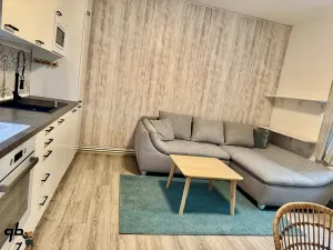 Pronájem bytu 3+kk, Bílovec, Slezské náměstí, 60 m2