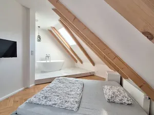 Pronájem bytu 2+1, Praha - Karlín, Březinova, 90 m2