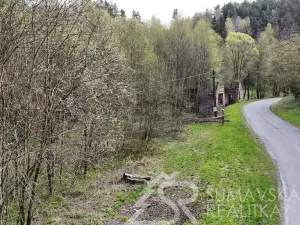 Prodej komerčního pozemku, Rejštejn, Náměstí Svobody, 38182 m2