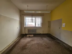 Dražba vily, Brno, Lipová, 696 m2