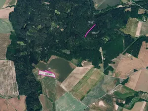 Prodej pole, Džbánice, 11072 m2