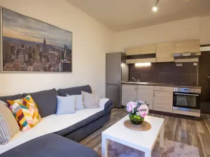 Prodej bytu 2+kk, Praha - Žižkov, Jana Želivského, 56 m2