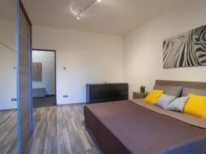 Prodej bytu 2+kk, Praha - Žižkov, Jana Želivského, 56 m2