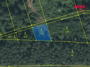 Prodej lesa, Slabčice - Písecká Smoleč, 48910 m2