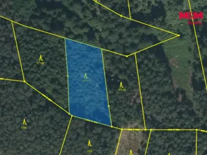 Prodej lesa, Slabčice - Písecká Smoleč, 48910 m2