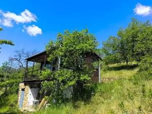 Prodej zahrady, Žalhostice, 4185 m2