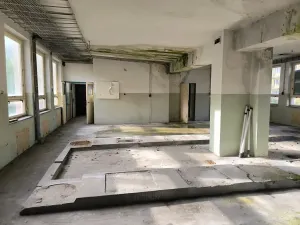 Prodej obchodního prostoru, Zlaté Hory, Na Sídlišti, 313 m2
