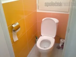 Pronájem bytu 1+kk, Praha - Záběhlice, Topolová, 40 m2