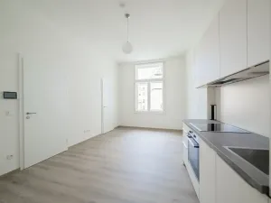 Pronájem bytu 2+kk, Praha - Nové Město, Václavské náměstí, 43 m2