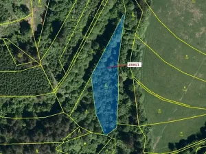Dražba lesa, Hovězí, 2626 m2