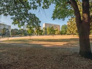 Prodej bytu 3+1, Hradec Králové, Slezská, 63 m2