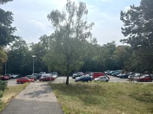 Pronájem bytu 2+1, Slaný, Všehlušická, 49 m2