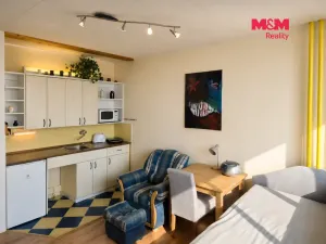 Pronájem bytu 1+kk, Ústí nad Labem - Ústí nad Labem-centrum, Hilarova, 21 m2