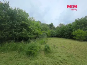 Prodej pozemku pro bydlení, Bor - Boječnice, 1093 m2