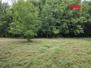 Prodej pozemku pro bydlení, Bor - Boječnice, 1093 m2
