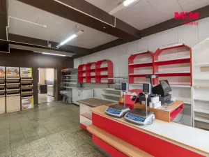 Prodej obchodního prostoru, Paskov, Náměstí, 205 m2