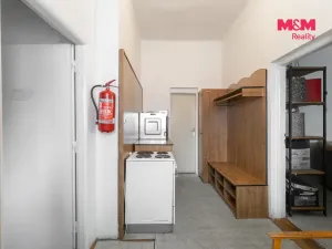 Prodej obchodního prostoru, Paskov, Náměstí, 205 m2