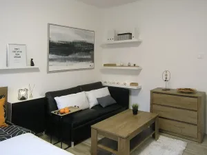 Pronájem bytu 2+kk, Ostrava, Myslbekova, 50 m2