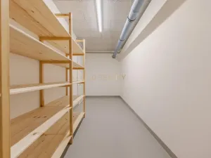 Pronájem bytu 3+kk, Olomouc - Nová Ulice, Karla Mareše, 108 m2