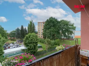 Pronájem bytu 3+1, Cheb, Lesní, 75 m2