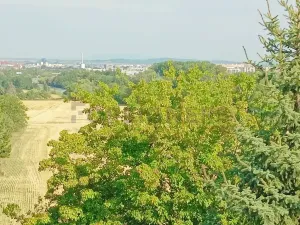 Pronájem bytu 1+kk, Křelov-Břuchotín, Zahradní, 45 m2