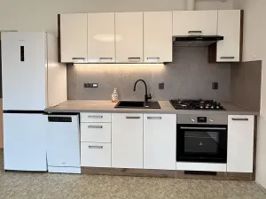 Pronájem bytu 1+kk, Brno, Vavřinecká, 41 m2