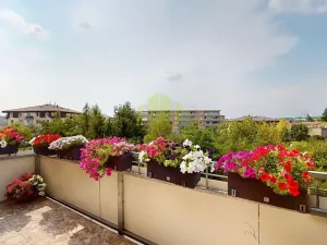 Prodej bytu 2+kk, Olomouc, Topolová, 55 m2