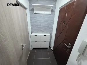 Pronájem bytu 1+kk, Doloplazy, 31 m2