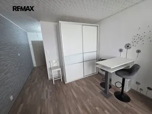 Pronájem bytu 1+kk, Doloplazy, 31 m2
