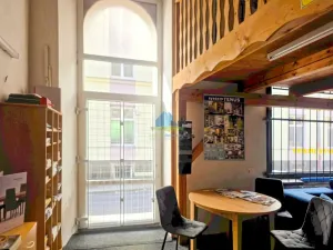 Prodej obchodního prostoru, Aš, Sadová, 241 m2