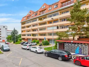 Prodej bytu 4+kk, Praha - Žižkov, Nad Ohradou, 94 m2