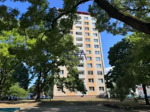 Prodej bytu 2+1, Hodonín, Sv. Čecha, 60 m2